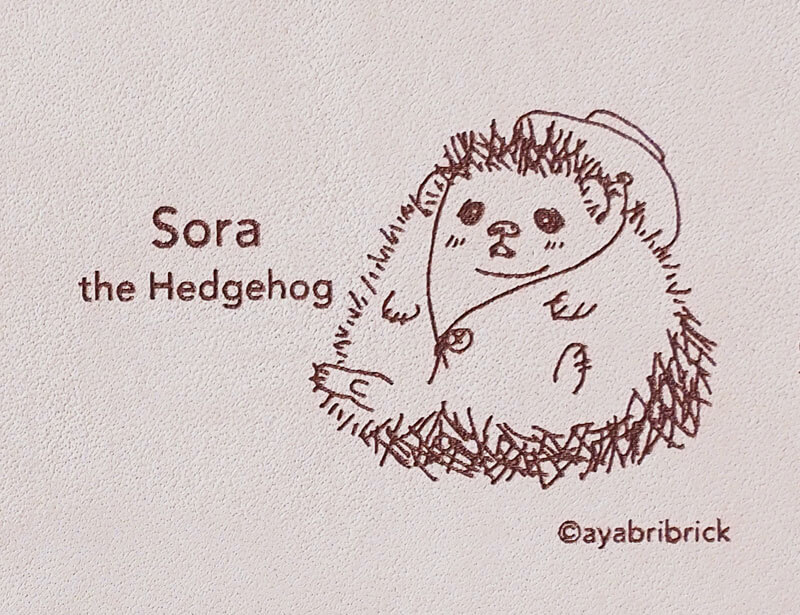 Sora